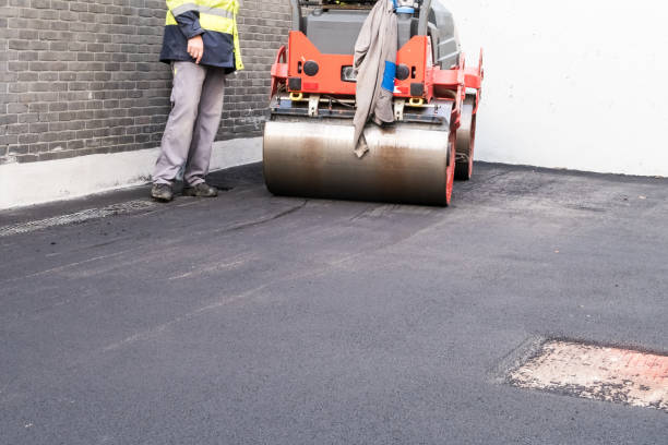 Best Driveway Border and Edging  in USA